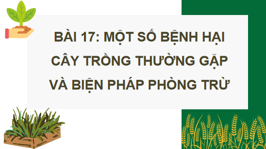 Giáo án điện tử Công nghệ 10 Kết nối tri thức Bài 17: Một số bệnh hại cây trồng thường gặp và biện pháp phòng trừ | PPT Công nghệ 10