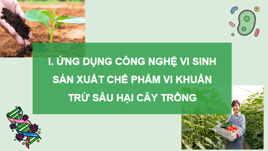 Giáo án điện tử Công nghệ 10 Kết nối tri thức Bài 18: Ứng dụng công nghệ vi sinh trong phòng trừ sâu, bệnh hại cây trồng | PPT Công nghệ 10