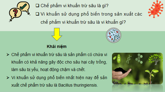 Giáo án điện tử Công nghệ 10 Kết nối tri thức Bài 18: Ứng dụng công nghệ vi sinh trong phòng trừ sâu, bệnh hại cây trồng | PPT Công nghệ 10