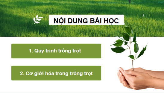Giáo án điện tử Công nghệ 10 Kết nối tri thức Bài 19: Quy trình trồng trọt và cơ giới hoá trong trồng trọt | PPT Công nghệ 10