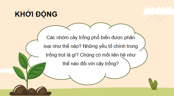 Giáo án điện tử Công nghệ 10 Kết nối tri thức Bài 2: Cây trồng và các yếu tố chính trong trồng trọt | PPT Công nghệ 10