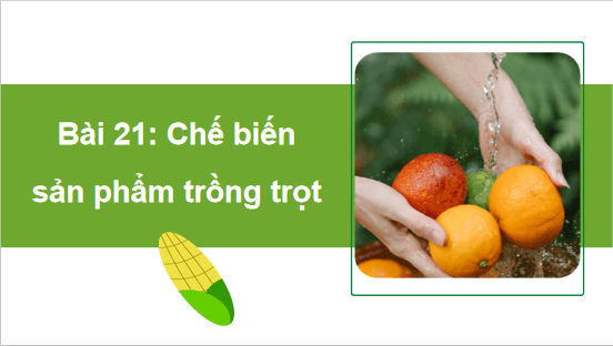 Giáo án điện tử Công nghệ 10 Kết nối tri thức Bài 21: Chế biến sản phẩm trồng trọt | PPT Công nghệ 10