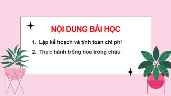 Giáo án điện tử Công nghệ 10 Kết nối tri thức Bài 22: Dự án trồng hoa trong chậu | PPT Công nghệ 10