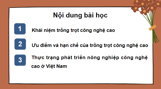 Giáo án điện tử Công nghệ 10 Kết nối tri thức Bài 23: Giới thiệu về trồng trọt công nghệ cao | PPT Công nghệ 10