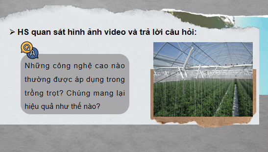 Giáo án điện tử Công nghệ 10 Kết nối tri thức Bài 24: Một số công nghệ cao trong trồng trọt | PPT Công nghệ 10