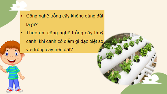 Giáo án điện tử Công nghệ 10 Kết nối tri thức Bài 25: Công nghệ trồng cây không dùng đất | PPT Công nghệ 10