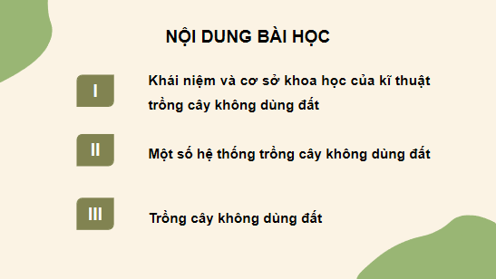 Giáo án điện tử Công nghệ 10 Kết nối tri thức Bài 25: Công nghệ trồng cây không dùng đất | PPT Công nghệ 10