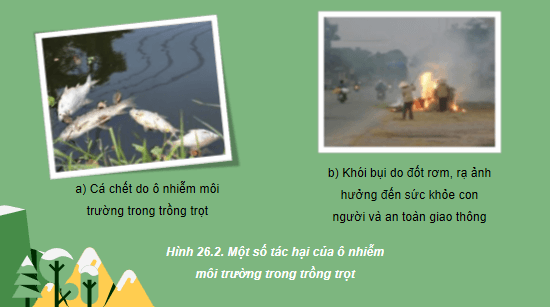 Giáo án điện tử Công nghệ 10 Kết nối tri thức Bài 26: Sự cần thiết phải bảo vệ môi trường trong trồng trọt | PPT Công nghệ 10