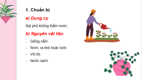 Giáo án điện tử Công nghệ 10 Kết nối tri thức Bài 28: Thực hành: Sử dụng rơm, dạ để trồng nấm rơm | PPT Công nghệ 10