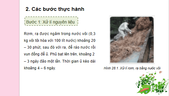 Giáo án điện tử Công nghệ 10 Kết nối tri thức Bài 28: Thực hành: Sử dụng rơm, dạ để trồng nấm rơm | PPT Công nghệ 10