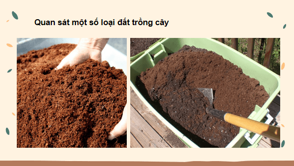 Giáo án điện tử Công nghệ 10 Kết nối tri thức Bài 3: Giới thiệu về đất trồng | PPT Công nghệ 10