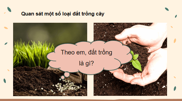 Giáo án điện tử Công nghệ 10 Kết nối tri thức Bài 3: Giới thiệu về đất trồng | PPT Công nghệ 10