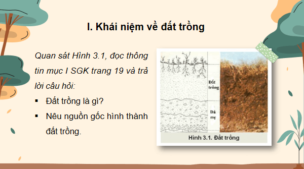 Giáo án điện tử Công nghệ 10 Kết nối tri thức Bài 3: Giới thiệu về đất trồng | PPT Công nghệ 10