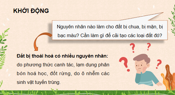 Giáo án điện tử Công nghệ 10 Kết nối tri thức Bài 4: Sử dụng, cải tạo và bảo vệ đất trồng | PPT Công nghệ 10