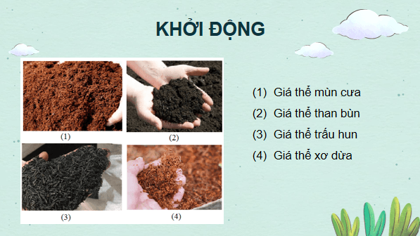 Giáo án điện tử Công nghệ 10 Kết nối tri thức Bài 5: Giá thể trồng cây | PPT Công nghệ 10