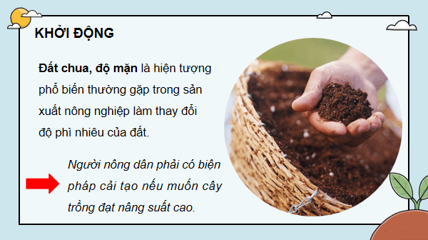 Giáo án điện tử Công nghệ 10 Kết nối tri thức Bài 6: Thực hành: Xác định độ chua và độ mặn của đất | PPT Công nghệ 10