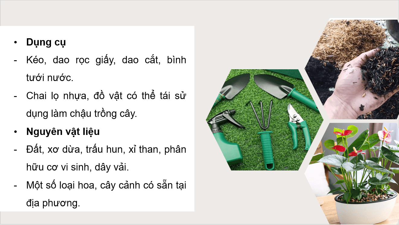 Giáo án điện tử Chuyên đề Công nghệ 10 Kết nối tri thức Bài 10: Thực hành: Trồng hoa, cây cảnh trong chậu | PPT Chuyên đề Công nghệ 10