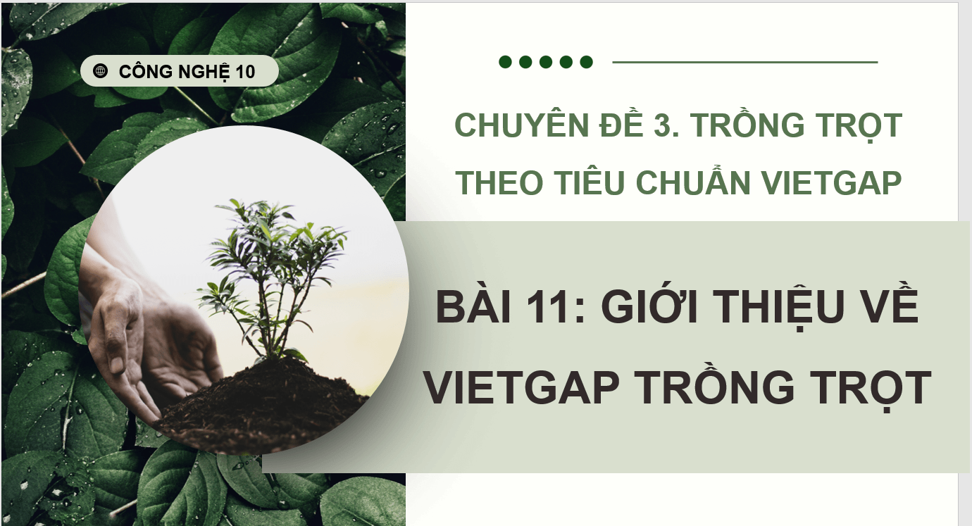 Giáo án điện tử Chuyên đề Công nghệ 10 Kết nối tri thức Bài 11: Giới thiệu về VietGAP trồng trọt | PPT Chuyên đề Công nghệ 10