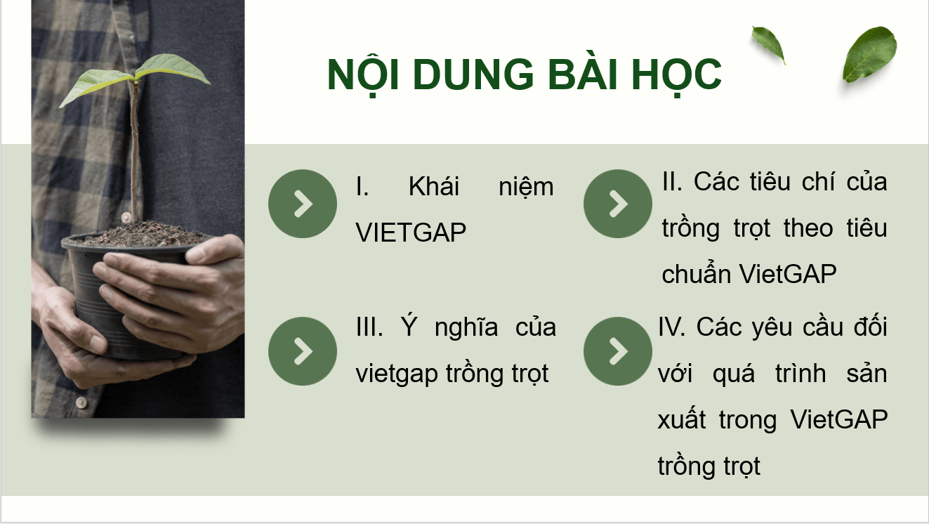 Giáo án điện tử Chuyên đề Công nghệ 10 Kết nối tri thức Bài 11: Giới thiệu về VietGAP trồng trọt | PPT Chuyên đề Công nghệ 10