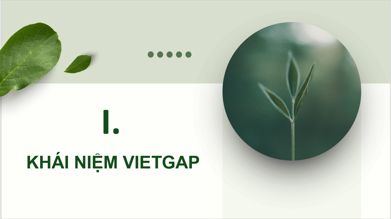 Giáo án điện tử Chuyên đề Công nghệ 10 Kết nối tri thức Bài 11: Giới thiệu về VietGAP trồng trọt | PPT Chuyên đề Công nghệ 10