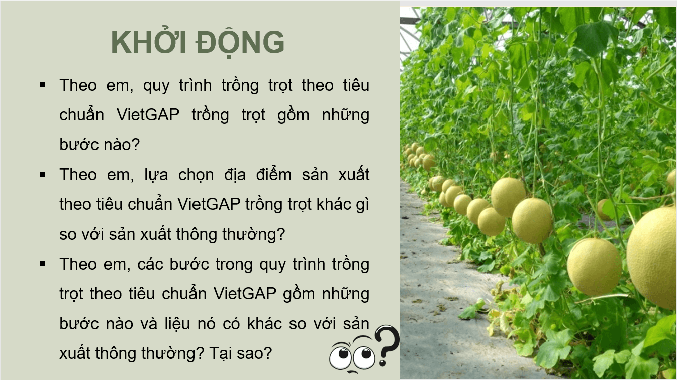 Giáo án điện tử Chuyên đề Công nghệ 10 Kết nối tri thức Bài 12: Các bước trong quy trình trồng trọt theo tiêu chuẩn VietGAP | PPT Chuyên đề Công nghệ 10