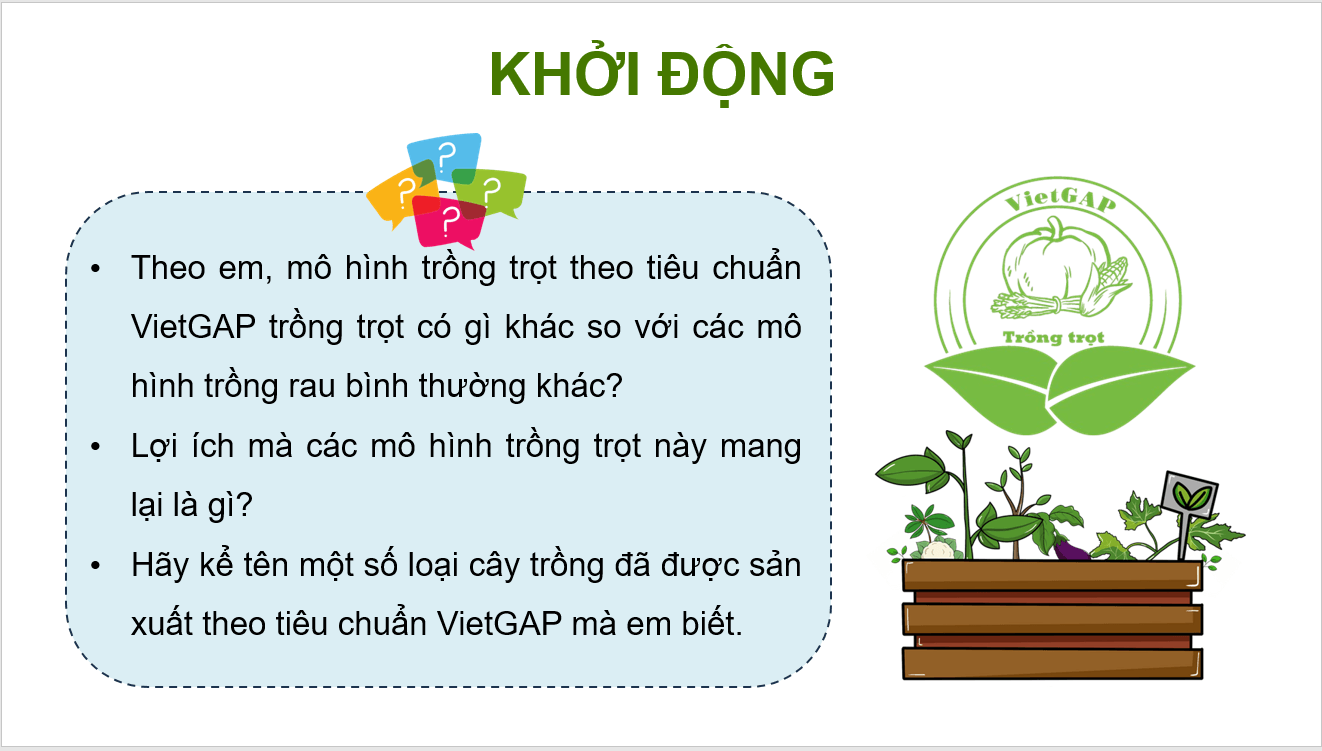 Giáo án điện tử Chuyên đề Công nghệ 10 Kết nối tri thức Bài 13: Một số mô hình trồng trọt theo tiêu chuẩn VietGAP | PPT Chuyên đề Công nghệ 10