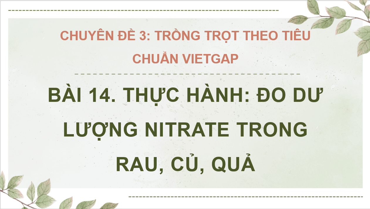 Giáo án điện tử Chuyên đề Công nghệ 10 Kết nối tri thức Bài 14: Thực hành: Đo dư lượng nitrate trong rau, củ, quả | PPT Chuyên đề Công nghệ 10