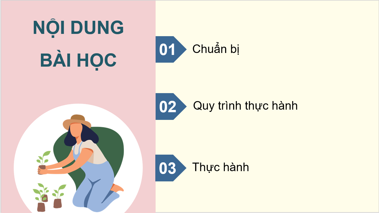 Giáo án điện tử Chuyên đề Công nghệ 10 Kết nối tri thức Bài 15: Thực hành: Nhận biết sản phẩm VietGAP trồng trọt qua tem (nhân) | PPT Chuyên đề Công nghệ 10