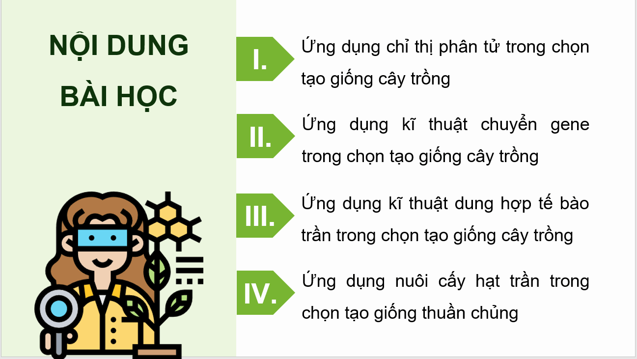 Giáo án điện tử Chuyên đề Công nghệ 10 Kết nối tri thức Bài 2: Một số ứng dụng công nghệ sinh học trong chọn tạo giống cây trồng | PPT Chuyên đề Công nghệ 10