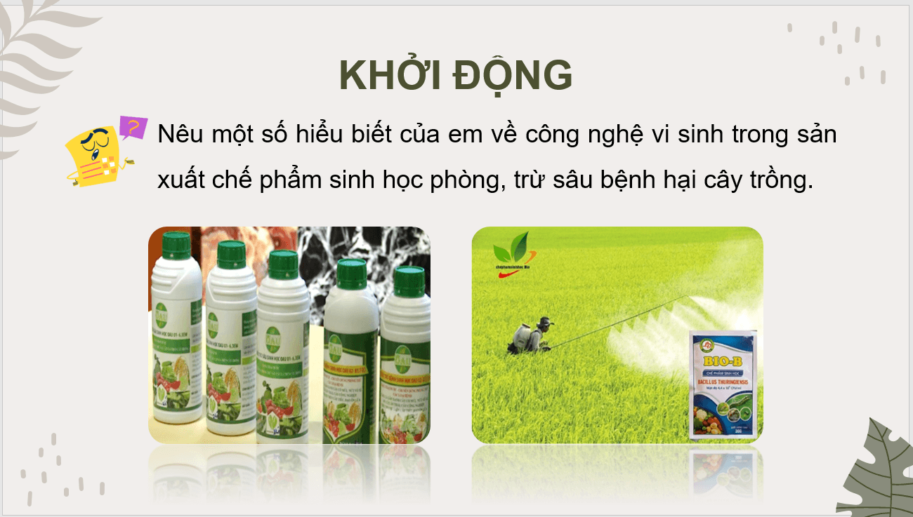 Giáo án điện tử Chuyên đề Công nghệ 10 Kết nối tri thức Bài 4: Một số ứng dụng công nghệ sinh học trong bảo vệ thực vật | PPT Chuyên đề Công nghệ 10