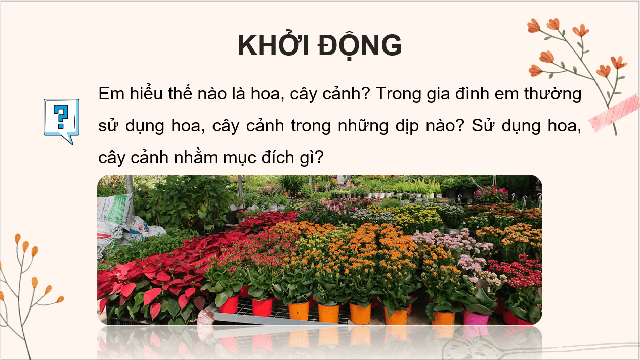 Giáo án điện tử Chuyên đề Công nghệ 10 Kết nối tri thức Bài 5: Giới thiệu về hoa, cây cảnh | PPT Chuyên đề Công nghệ 10