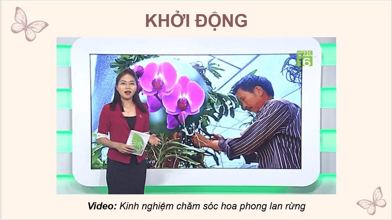 Giáo án điện tử Chuyên đề Công nghệ 10 Kết nối tri thức Bài 8: Kĩ thuật trồng và chăm sóc hoa phong lan | PPT Chuyên đề Công nghệ 10