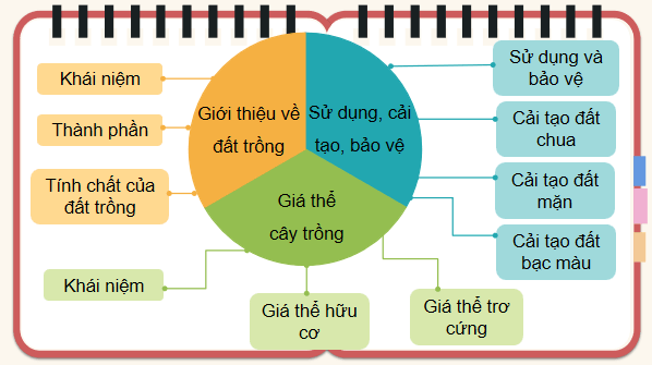 Giáo án điện tử Công nghệ 10 Kết nối tri thức Ôn tập chương 2 | PPT Công nghệ 10