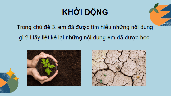 Giáo án điện tử Công nghệ 10 Kết nối tri thức Ôn tập chương 3 | PPT Công nghệ 10