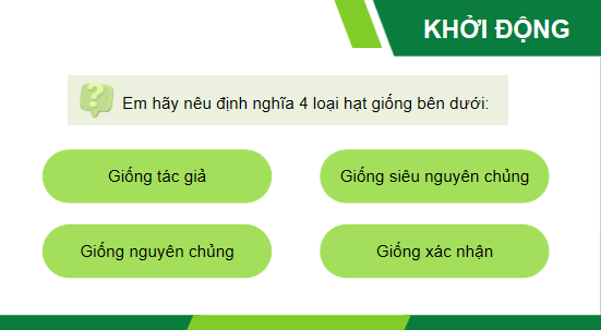 Giáo án điện tử Công nghệ 10 Kết nối tri thức Ôn tập chương 4 | PPT Công nghệ 10