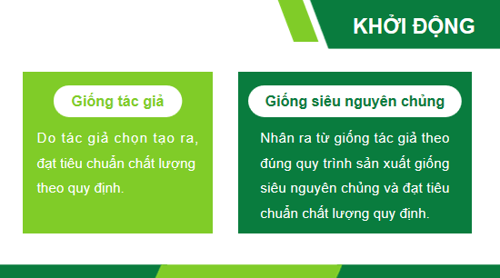 Giáo án điện tử Công nghệ 10 Kết nối tri thức Ôn tập chương 4 | PPT Công nghệ 10