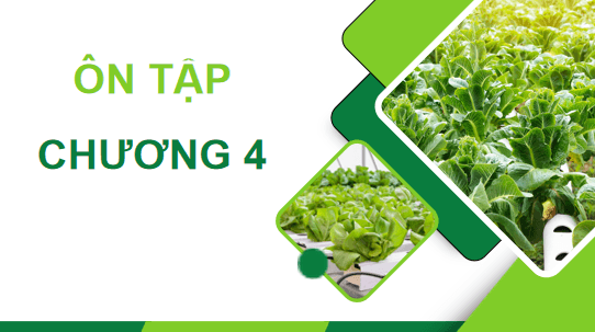 Giáo án điện tử Công nghệ 10 Kết nối tri thức Ôn tập chương 4 | PPT Công nghệ 10