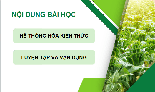 Giáo án điện tử Công nghệ 10 Kết nối tri thức Ôn tập chương 4 | PPT Công nghệ 10