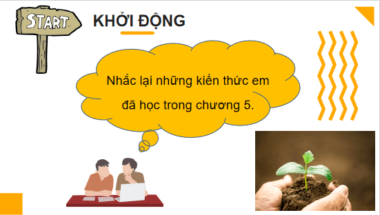 Giáo án điện tử Công nghệ 10 Kết nối tri thức Ôn tập chương 5 | PPT Công nghệ 10