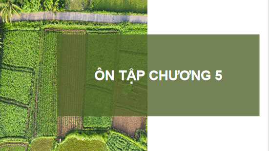 Giáo án điện tử Công nghệ 10 Kết nối tri thức Ôn tập chương 5 | PPT Công nghệ 10