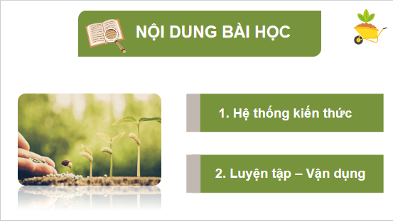 Giáo án điện tử Công nghệ 10 Kết nối tri thức Ôn tập chương 5 | PPT Công nghệ 10