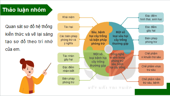 Giáo án điện tử Công nghệ 10 Kết nối tri thức Ôn tập chương 5 | PPT Công nghệ 10