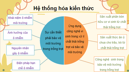 Giáo án điện tử Công nghệ 10 Kết nối tri thức Ôn tập chương 8 | PPT Công nghệ 10