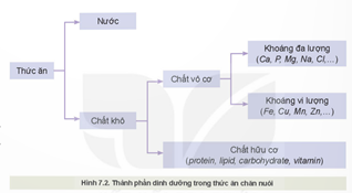 Giáo án Công nghệ 11 Kết nối tri thức Bài 7: Thức ăn và nhu cầu dinh dưỡng của vật nuôi