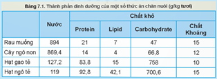 Giáo án Công nghệ 11 Kết nối tri thức Bài 7: Thức ăn và nhu cầu dinh dưỡng của vật nuôi