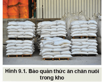 Giáo án Công nghệ 11 Kết nối tri thức Bài 9: Bảo quản thức ăn chăn nuôi