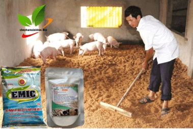 Giáo án Chuyên đề Công nghệ 11 Kết nối tri thức Bài 1: Bài mở đầu (ảnh 2)