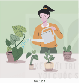 Giáo án Chuyên đề Công nghệ 11 Kết nối tri thức Bài 2: Hình thành ý tưởng, lập kế hoạch, triển khai dự án nghiên cứu (ảnh 1)
