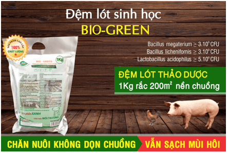 Giáo án Chuyên đề Công nghệ 11 Kết nối tri thức Bài 5: Ứng dụng công nghệ sinh học trong sản xuất đệm lót sinh học (ảnh 1)