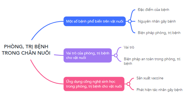 Giáo án Công nghệ 11 Kết nối tri thức Ôn tập chương 4